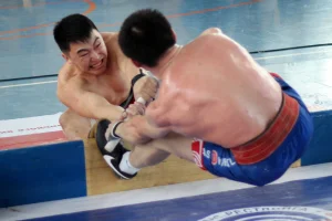 Чемпионат ДФО по мас-рестлингу
