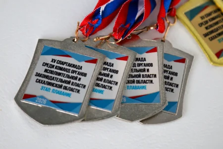 Чиновники приплыли