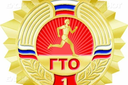 Сахалинцам вручили золотые знаки ГТО