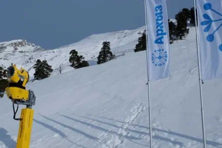 В скоростном спуске островные горнолыжники остались без наград