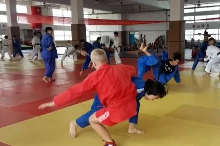 Островные спортсмены провели мастер-класс по самбо в Китае