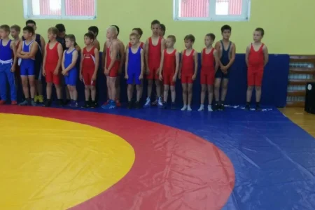 Борцы из трех населенных пунктов приняли участие в открытом первенстве Анивского городского округа
