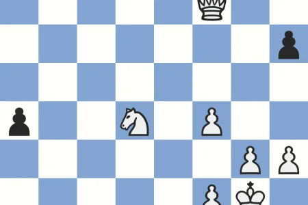 В чемпионате Южно-Сахалинска участвуют десять шахматистов