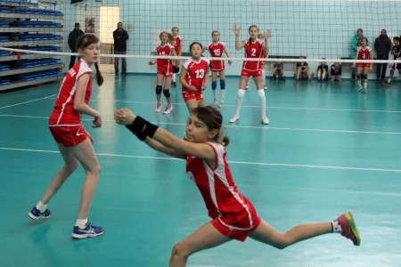 В первенстве области по волейболу в трех возрастных группах приняли участие 38 команд