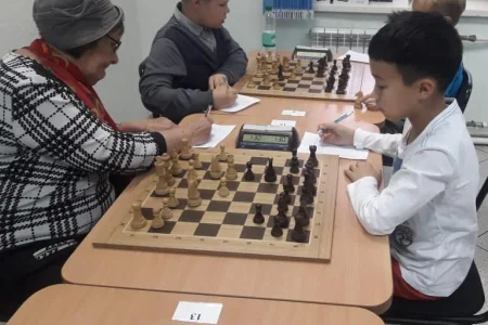 В чемпионате области по шахматам воцарилось троевластие