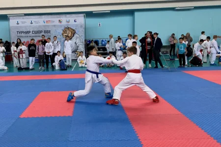 Каратисты посвятили турнир Новому году