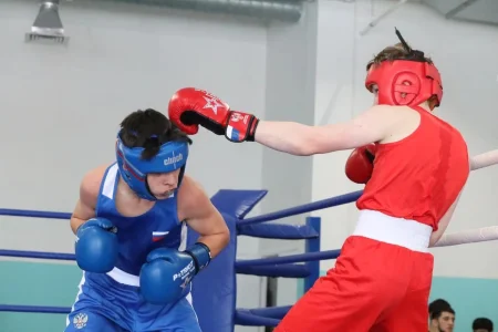 Боксеры выявили победителей областного первенства