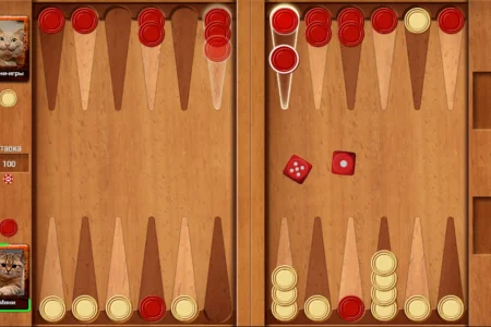 Сахалинцы завоевали три медали чемпионата России по длинным нардам