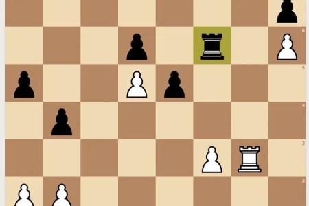 Шахматисты из Бошняково – чемпионы области!