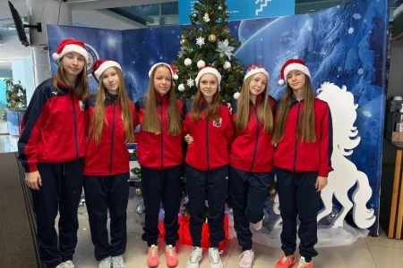 Новый год к нам мчится