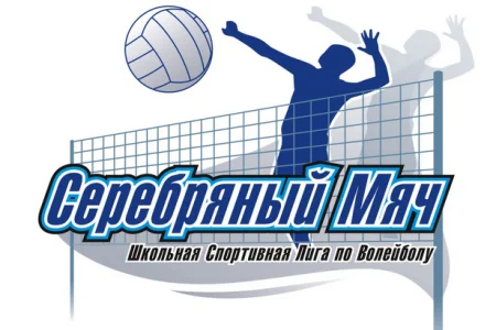 На муниципальном этапе «Серебряного мяча» определились медалисты