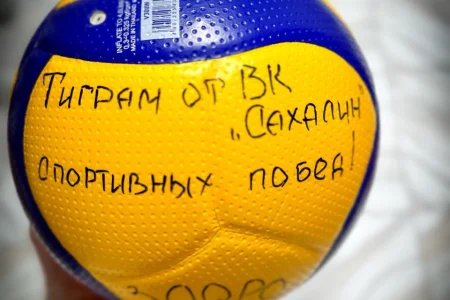 Новый год объединил дзюдо и волейбол