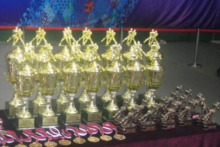 Сахалинские дзюдоисты завоевали три медали Всероссийского турнира