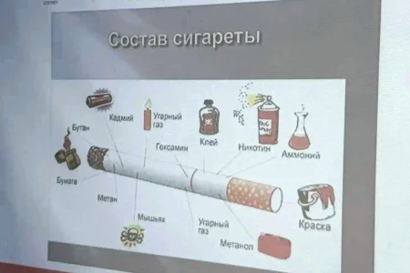Спорту – да, вредным привычкам – нет