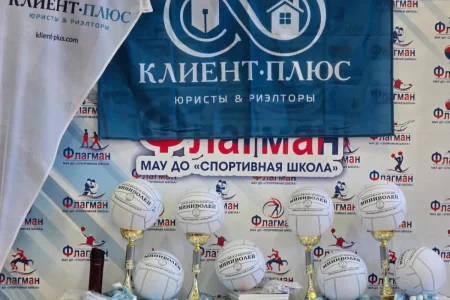 33 богатыря в миниволей играли не зря