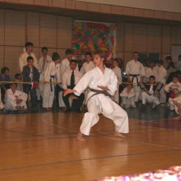 Соревнования по ката. На татами Леонов Антон - победитель среди юношей 14-15 лет 