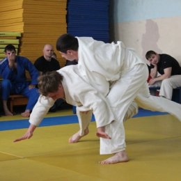 Чемпионат области 2013 года по дзюдо