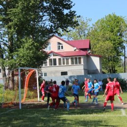22.06.2013. Кубок Сахалинской области. 1/4 финала. "Колос" (Троицкое) - ФК "Ноглики" - 0:1.
