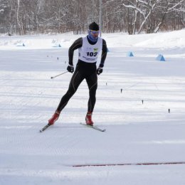 Чемпионат области по лыжным гонкам