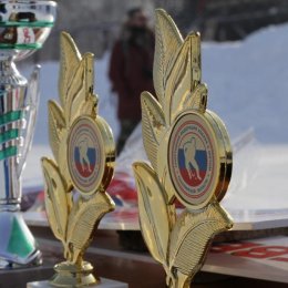 Чемпионат области по хоккею с мячом