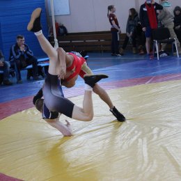 Первенство области по вольной борьбе