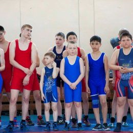 Турнир по вольной борьбе памяти П.М. Алборова