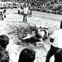 Соревнования по сумо в Тойохаре