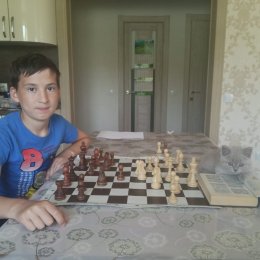 Когда нет двуногих соперников, приходится играть с четырехлапыми