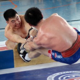 Чемпионат ДФО по мас-рестлингу