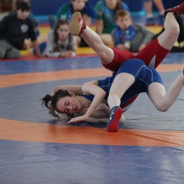 Первенство области по вольной борьбе