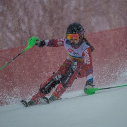 Чемпионат и первенство России по горнолыжному спорту
