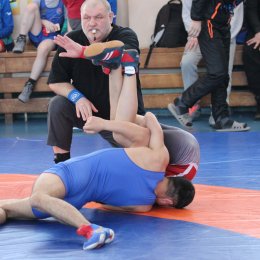 Чемпионат и первенство области (до 16 лет) по вольной борьбе