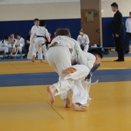 Кубок губернатора