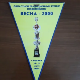 Волейбольные вымпелы