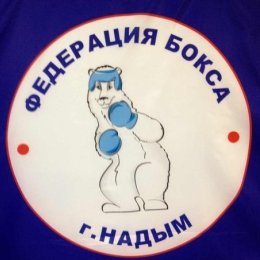 Адриан Фаттахов завоевал серебряную медаль международного турнира