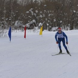 «Лыжня России» в Тымовске: свыше 250 участников