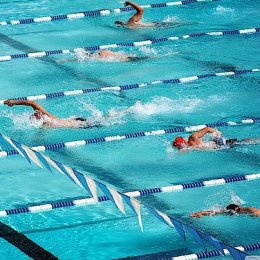 В активе островных пловцов пять медалей отборочных соревнований Кубка страны