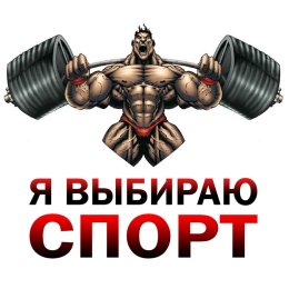 Участники сахалинской «Декады спорта» смогут собрать медаль-пазл