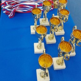 Сахалинские самбисты завоевали шесть медалей Спартакиады учащихся ДФО