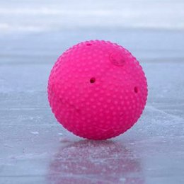 Сборная Южно-Сахалинска выиграла турнир по мини-хоккею с мячом в Холмске