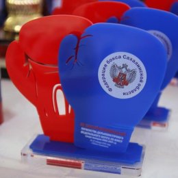 Островные боксеры завоевали четыре медали первенства ДФО