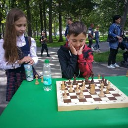 Шесть сеансеров в течение нескольких часов экзаменовали любителей шахмат