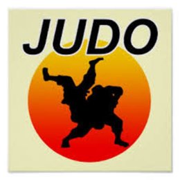 Шестеро сахалинцев стали призерами дальневосточных соревнований по дзюдо