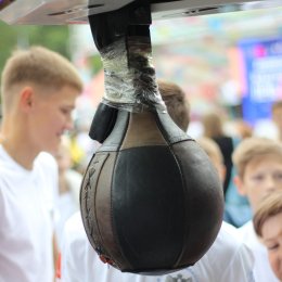 Сахалинские боксеры впервые участвовали в киберспортивном турнире