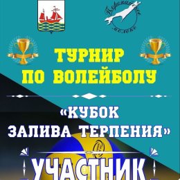 10-11 ноября в Поронайске пройдет межмуниципальный волейбольный турнир «Кубок залива Терпения»