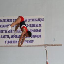 Сахалинские гимнасты примут участие в международном турнире