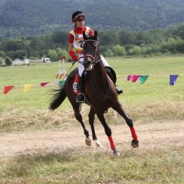 Сахалинцы примут участие в чемпионате ДФО по конному спорту