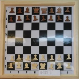 Команда из Вахрушева стала победителем шахматного турнира в Поронайске