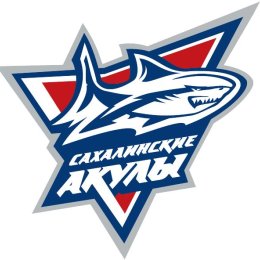 В Южно-Сахалинске пройдет детский международный турнир по хоккею