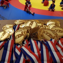 Сахалинские самбисты завоевали восемь медалей международного турнира